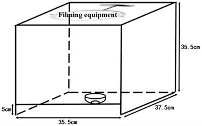 Analysis of the Distribution of Urine Color and Its Relationship With Urine Dry Chemical Parameters Among College Students in Beijing, China – A Cross-Sectional Study